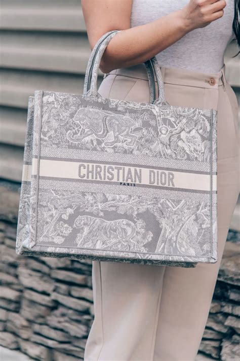 dior rogue dior dupe|christian dior tote bag copy.